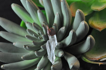 Load image into Gallery viewer, Staggered Twin Quartz Point Pendant #1
